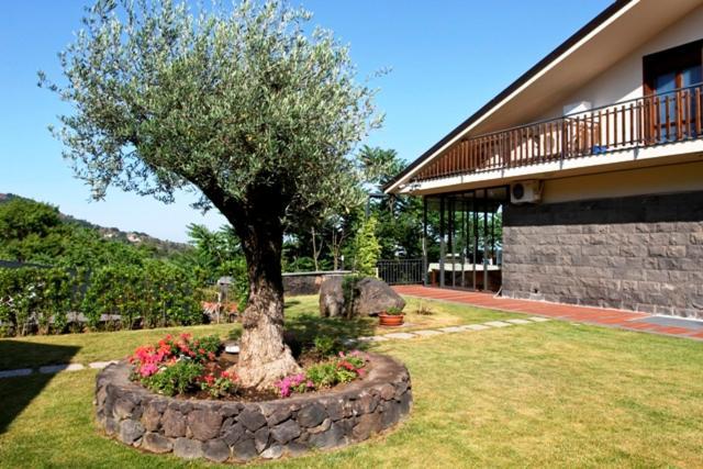 Etna Hut Bed & Breakfast นีโกโลซี ภายนอก รูปภาพ